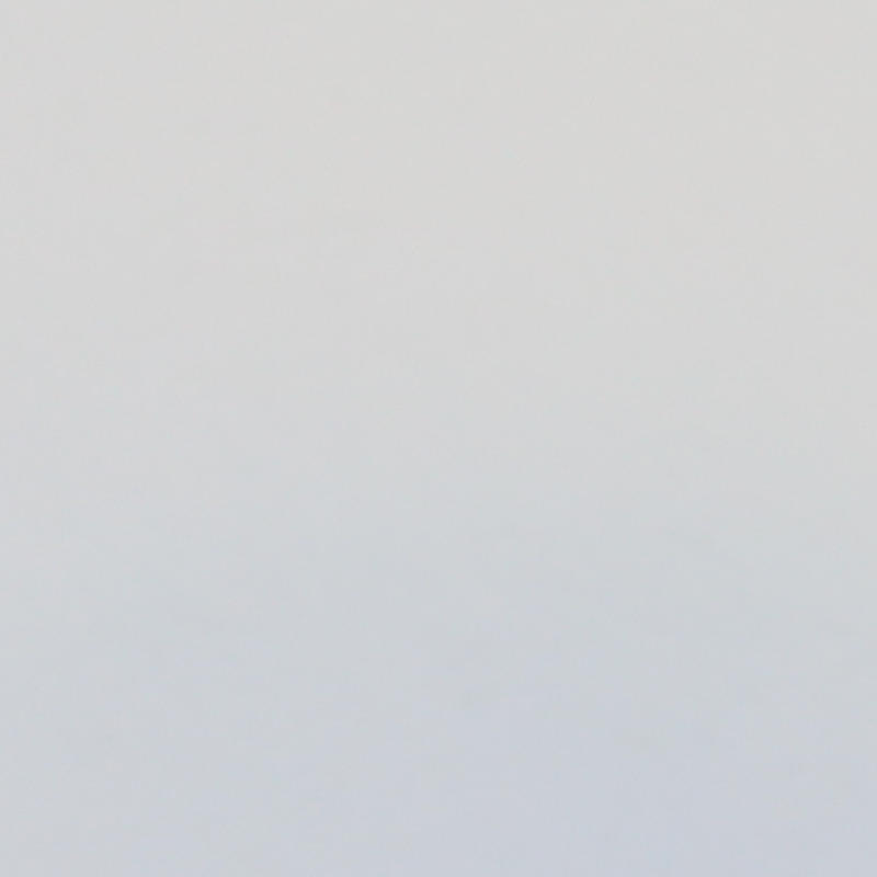 Portrait picture of Martin Habets