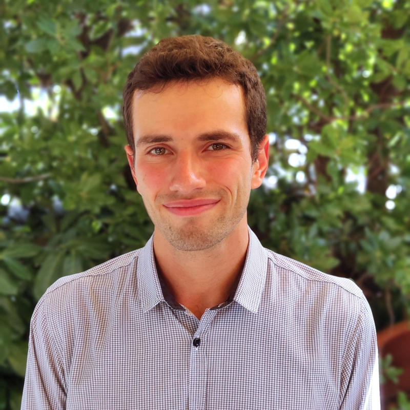 Portrait picture of Francesco Mattioli
