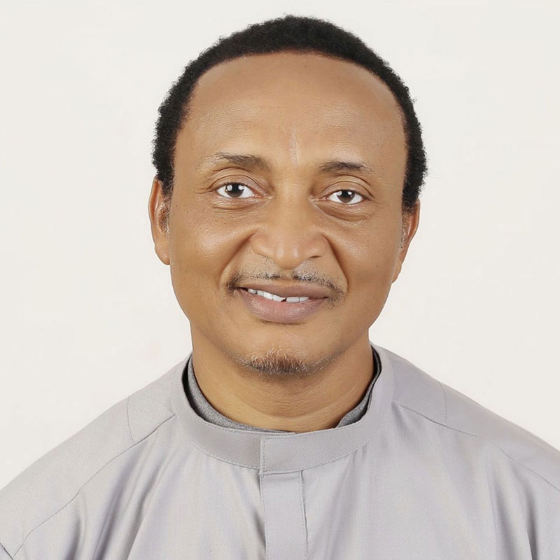 Portrait picture of Francis Ohanyido