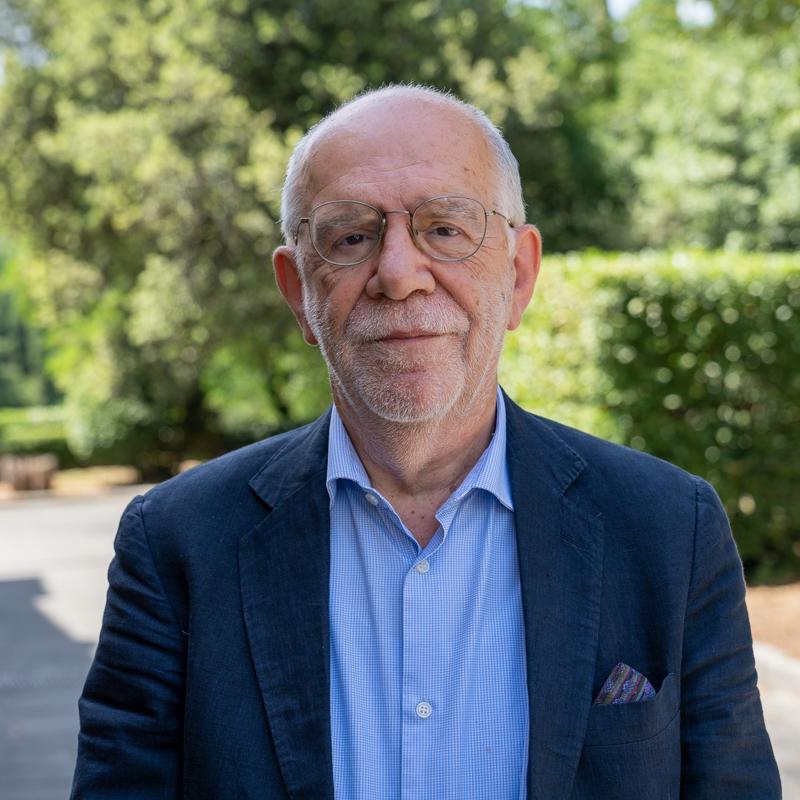 Portrait picture of Pier Luigi Parcu