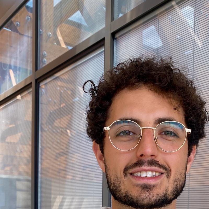 Portrait picture of Raffaele Ventura