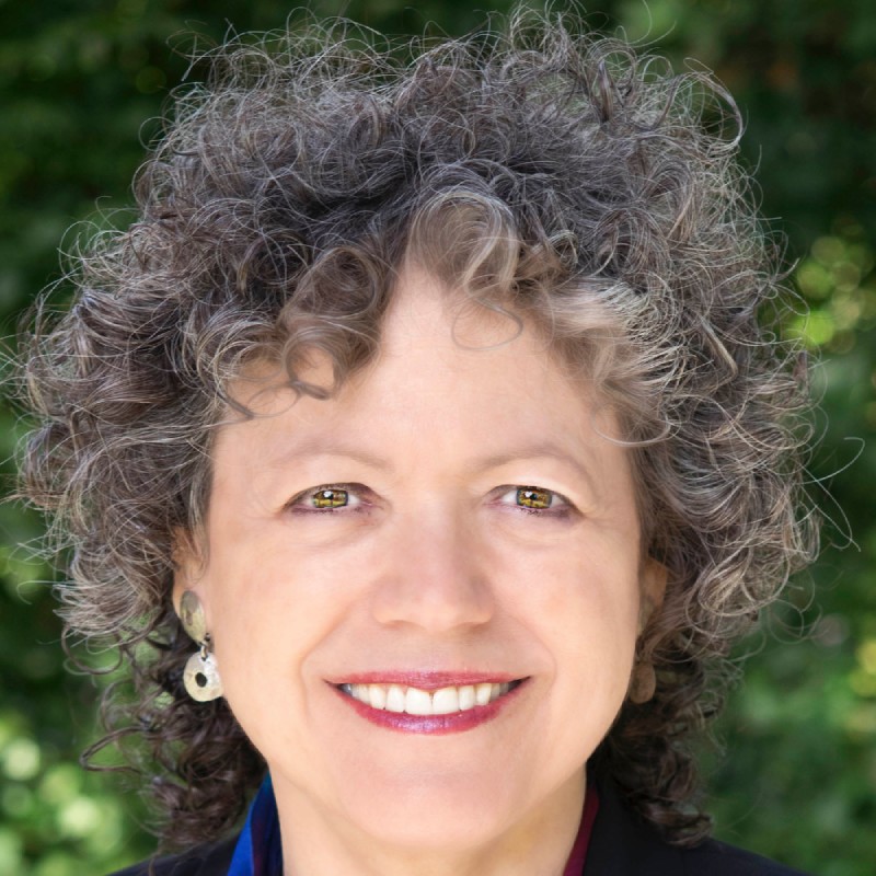 Portrait picture of Vivien Schmidt