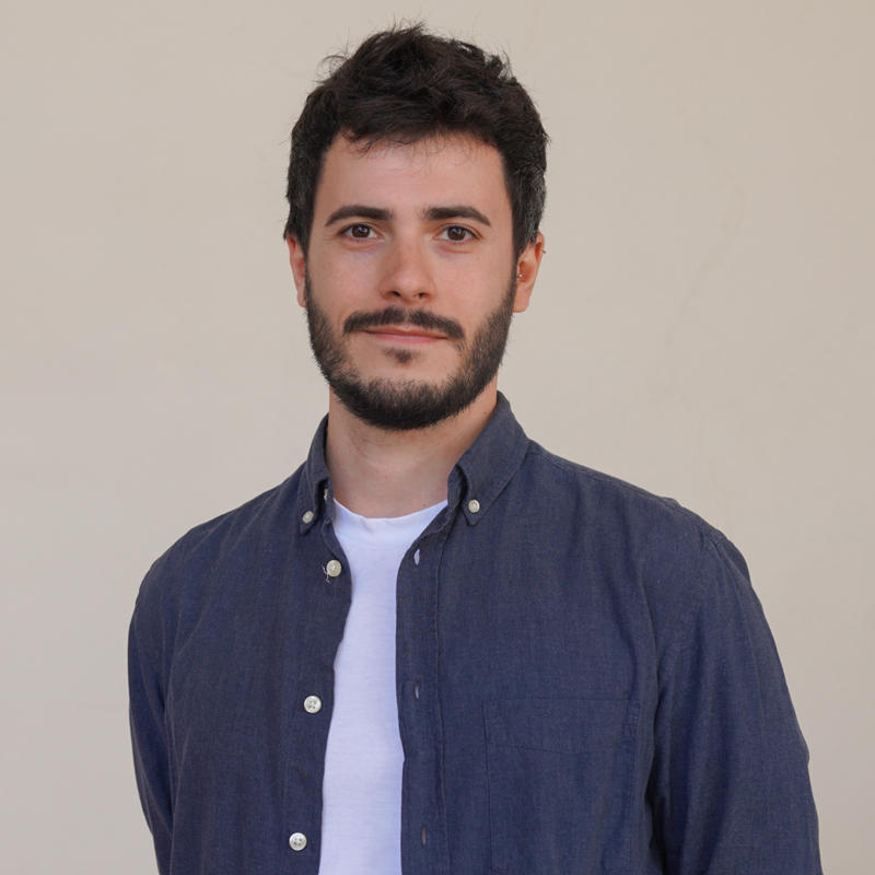 Portrait picture of Diego Vila Martin