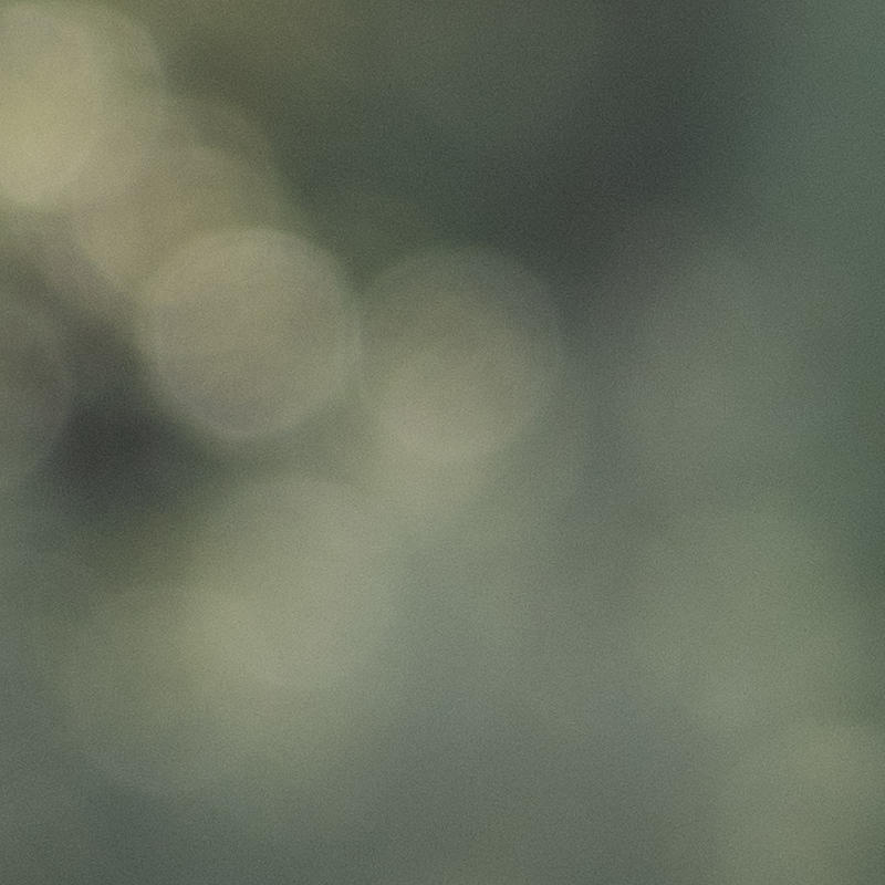 Portrait picture of Giorgio Giamberini