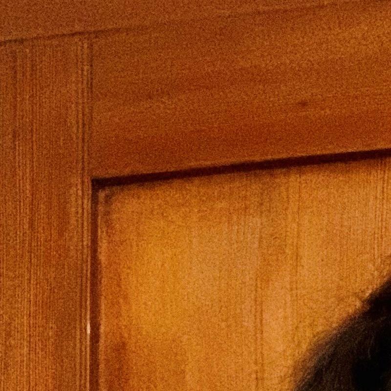 Portrait picture of Laurie Boussaguet