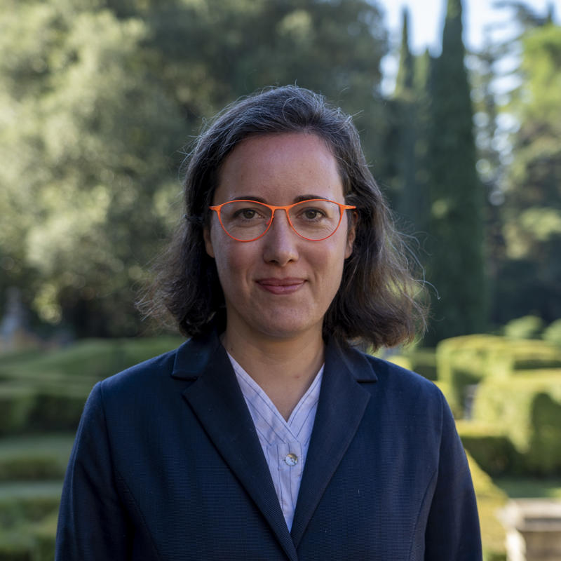 Portrait picture of Or Rosenboim