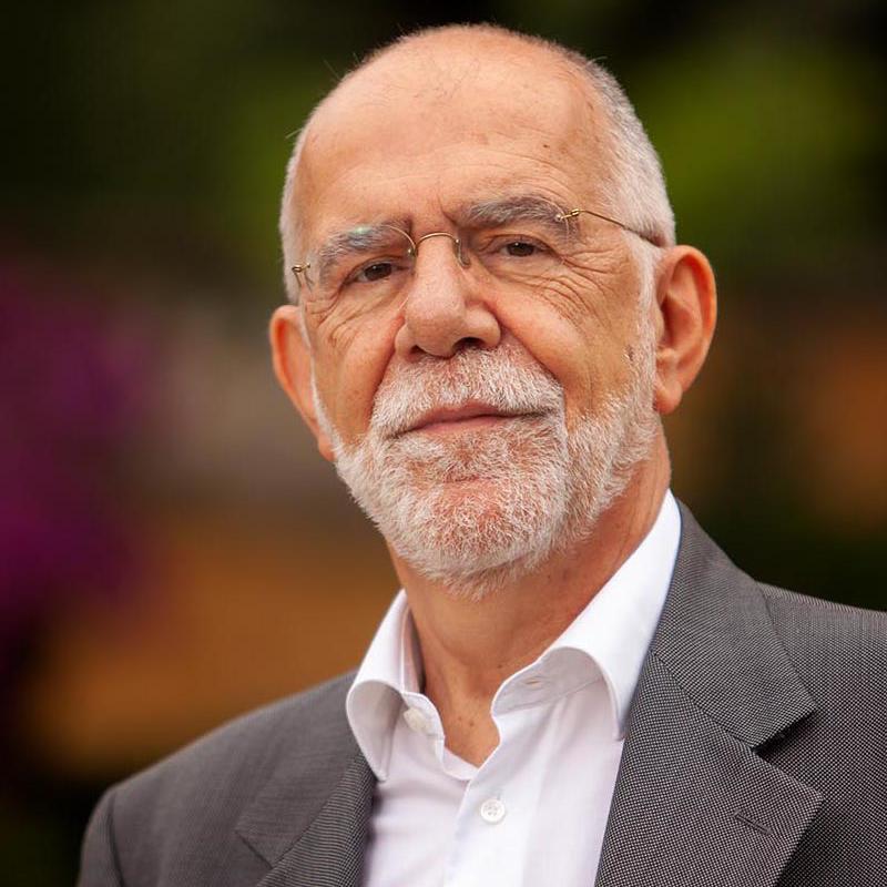 Portrait picture of Pier Luigi Parcu
