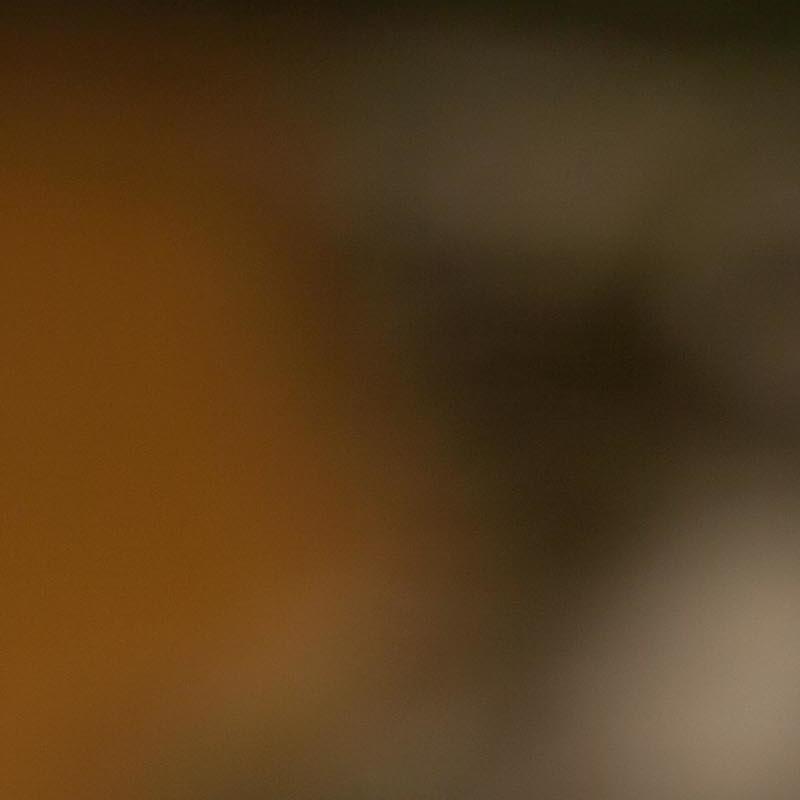 Portrait picture of Elena Parimbelli