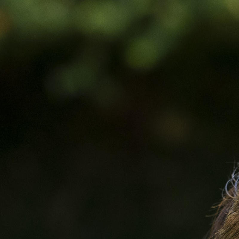 Portrait picture of Sarah Beck