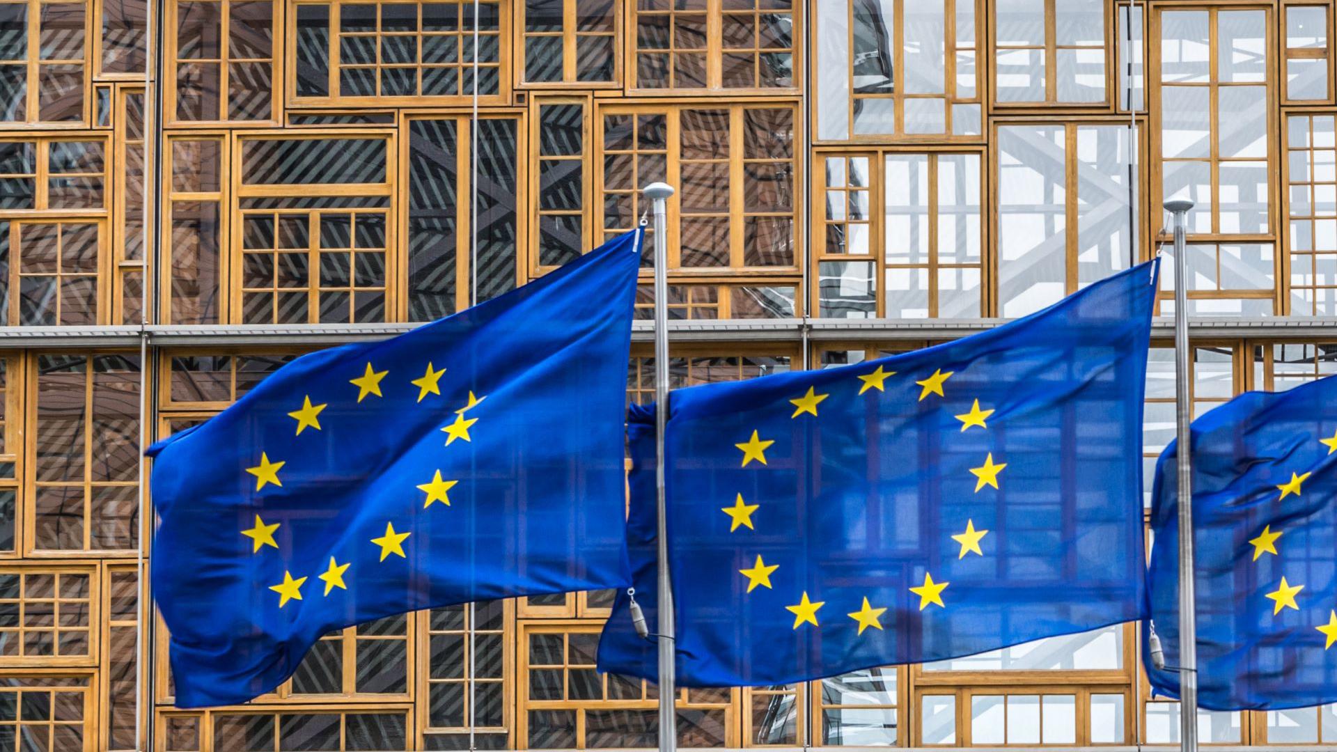 EU Flags