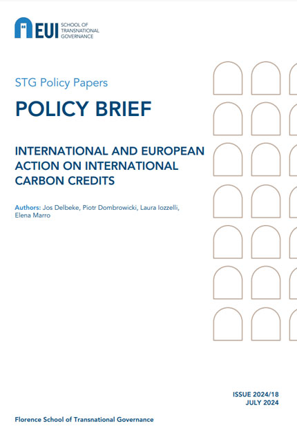 International and European action on international carbon credits