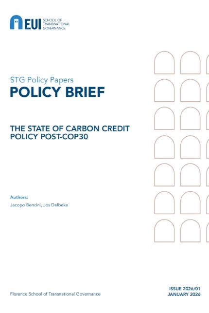 The state of carbon credit policy post-COP30