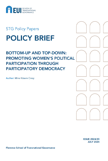 Bottom-up and top-down : promoting women's political participation through participatory democracy