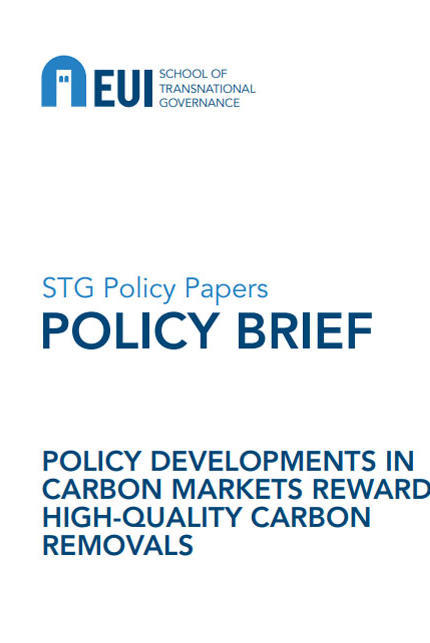 Book cover for: Policy developments in carbon markets rewarding high-quality carbon removals