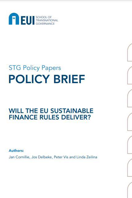 Book cover for: Will the EU sustainable finance rules deliver?