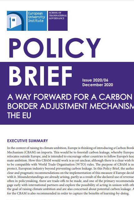 Book cover for: A way forward for a carbon border adjustment mechanism by the EU