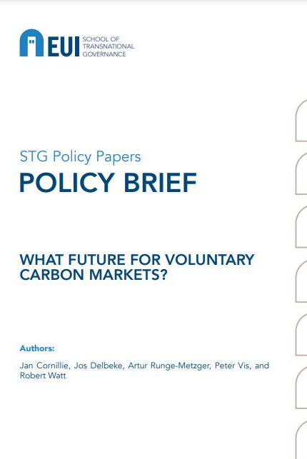 Book cover for: What future for voluntary carbon markets?