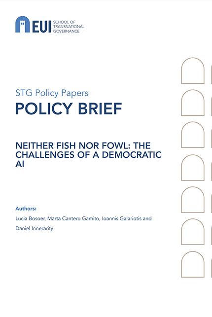 Book cover for: Neither fish nor fowl : the challenges of a democratic AI