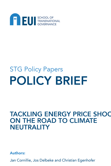 Book cover for: Tackling energy price shocks on the road to climate neutrality