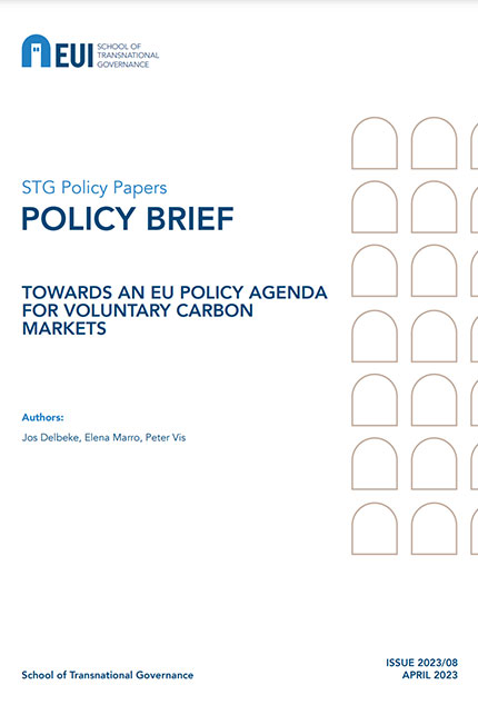 Towards an EU policy agenda for Voluntary Carbon Markets