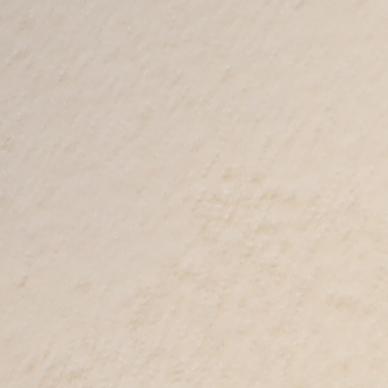 Portrait picture of Michela Dell'Anno Boulton