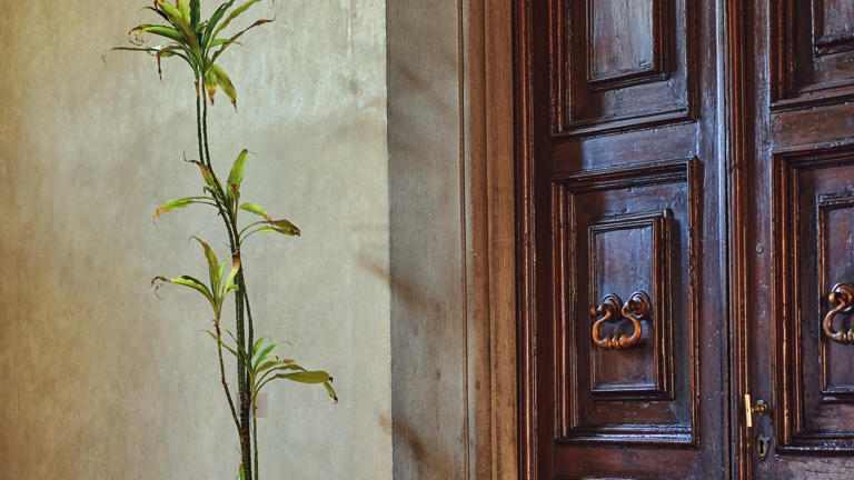 Badia Refettorio entrance with plant detail