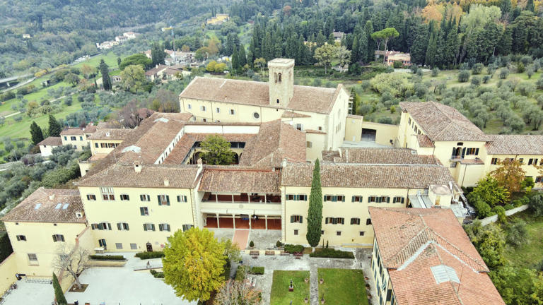 Badia full drone view