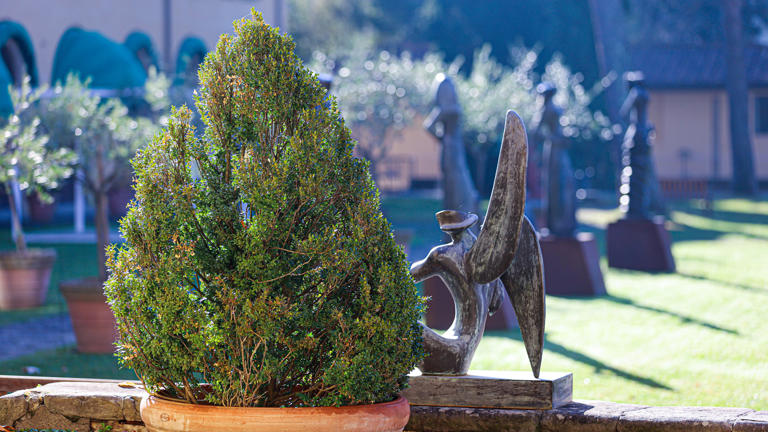 LIbrary-garden-statue-morning-light