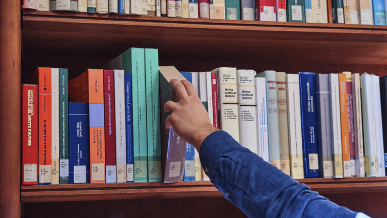 Library books taken by a student