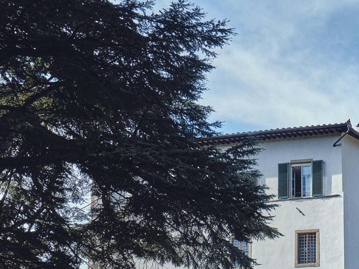 Villa la fonte building view from gardens