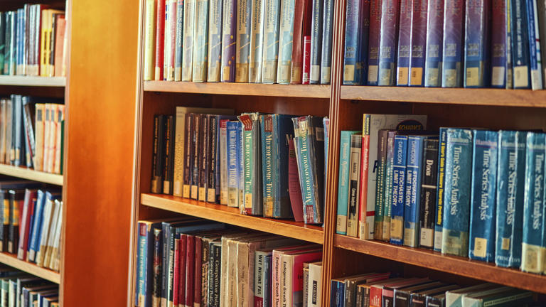 Villa library closeup books on microeconomics