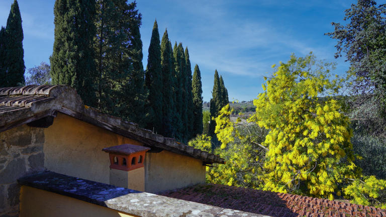Villa-paola-eui-rooftop-view