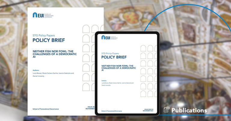 policy_brief_publication_stg