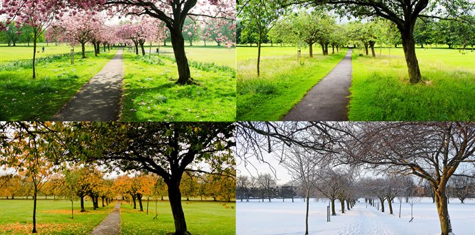 the-four-seasons