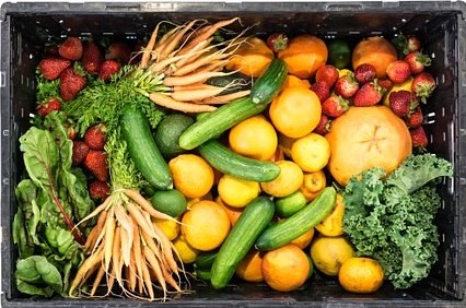 Vegetable Box