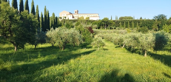 Panoramic view of European University Institute's orto with Badia Fiesolana in in the horizon