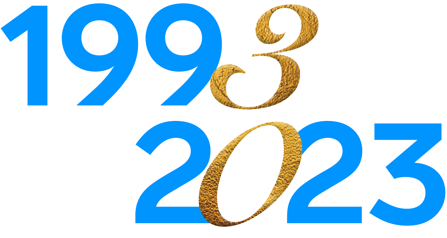Robert Schuman Centre 30th anniversary logo